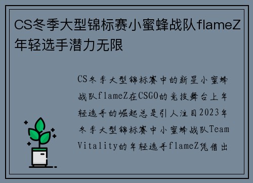 CS冬季大型锦标赛小蜜蜂战队flameZ年轻选手潜力无限