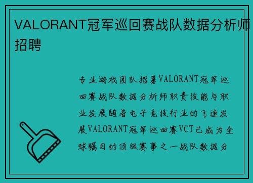 VALORANT冠军巡回赛战队数据分析师招聘