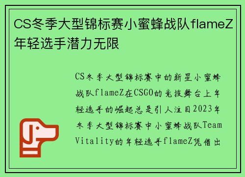 CS冬季大型锦标赛小蜜蜂战队flameZ年轻选手潜力无限