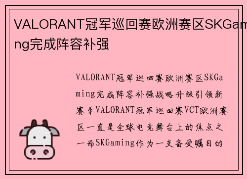 VALORANT冠军巡回赛欧洲赛区SKGaming完成阵容补强