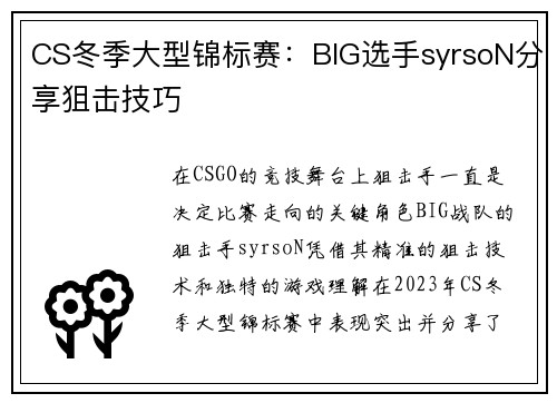 CS冬季大型锦标赛：BIG选手syrsoN分享狙击技巧