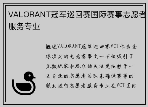 VALORANT冠军巡回赛国际赛事志愿者服务专业