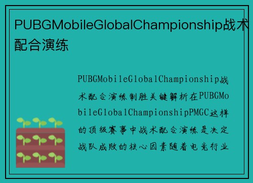 PUBGMobileGlobalChampionship战术配合演练
